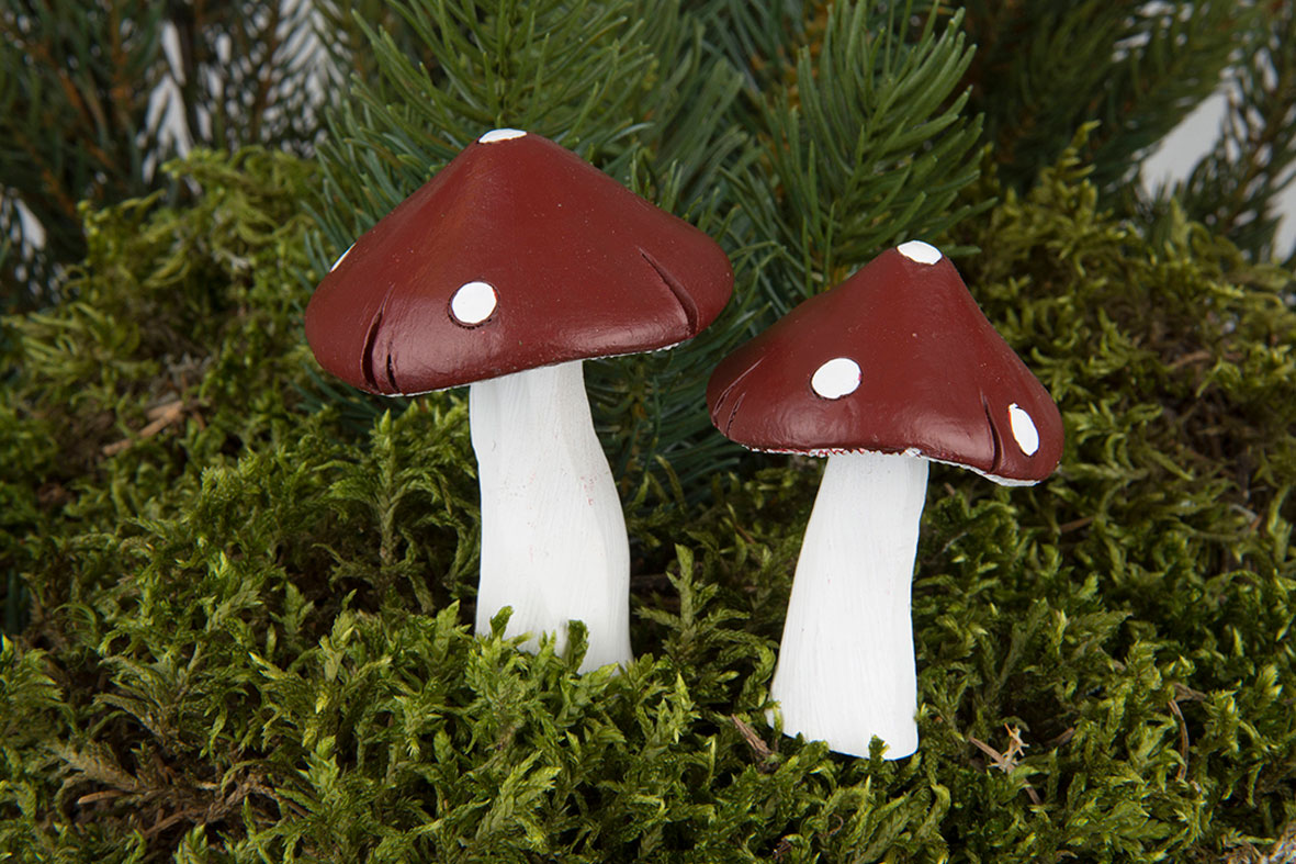 A lot Flugsvamp 2-pack