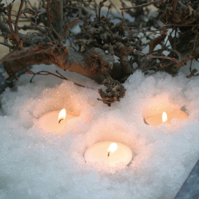 A lot Snögel