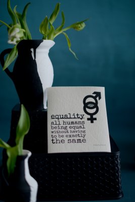 Erika Tubbin Disktrasa "Equality"